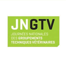 JNGTV