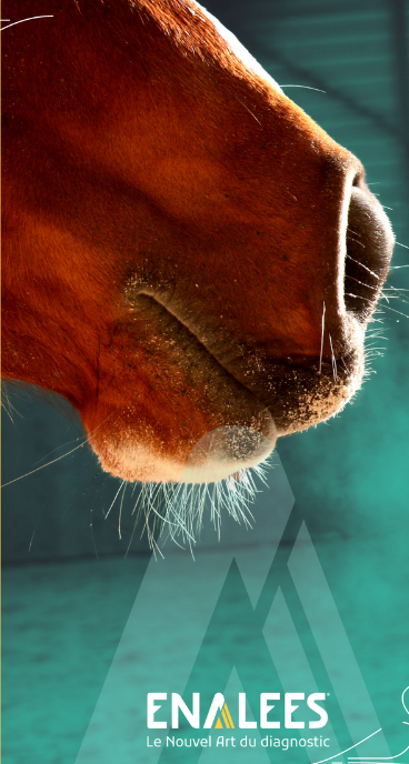 CASE STUDY: EQUINE INFLUENZA