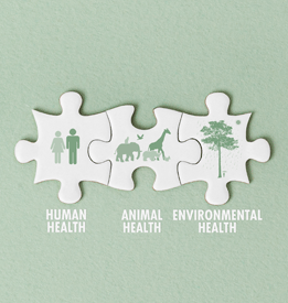 Responsabilité Enalees