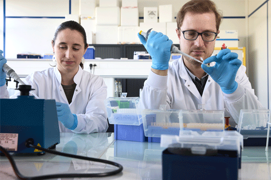 Unsere Wissenschaftler im Einsatz im Labor – Enalees