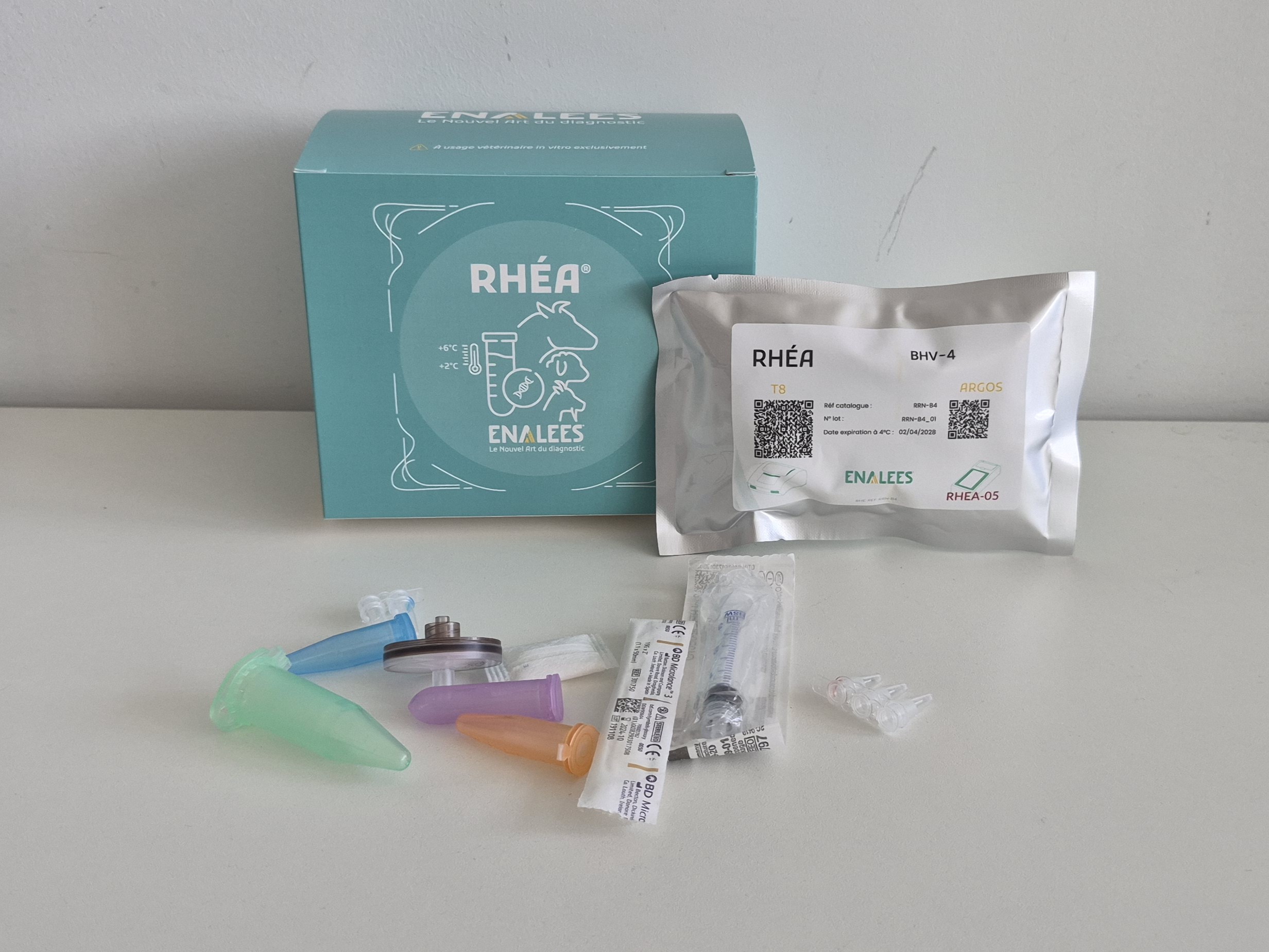 Rhéa Mycoplasma bovis