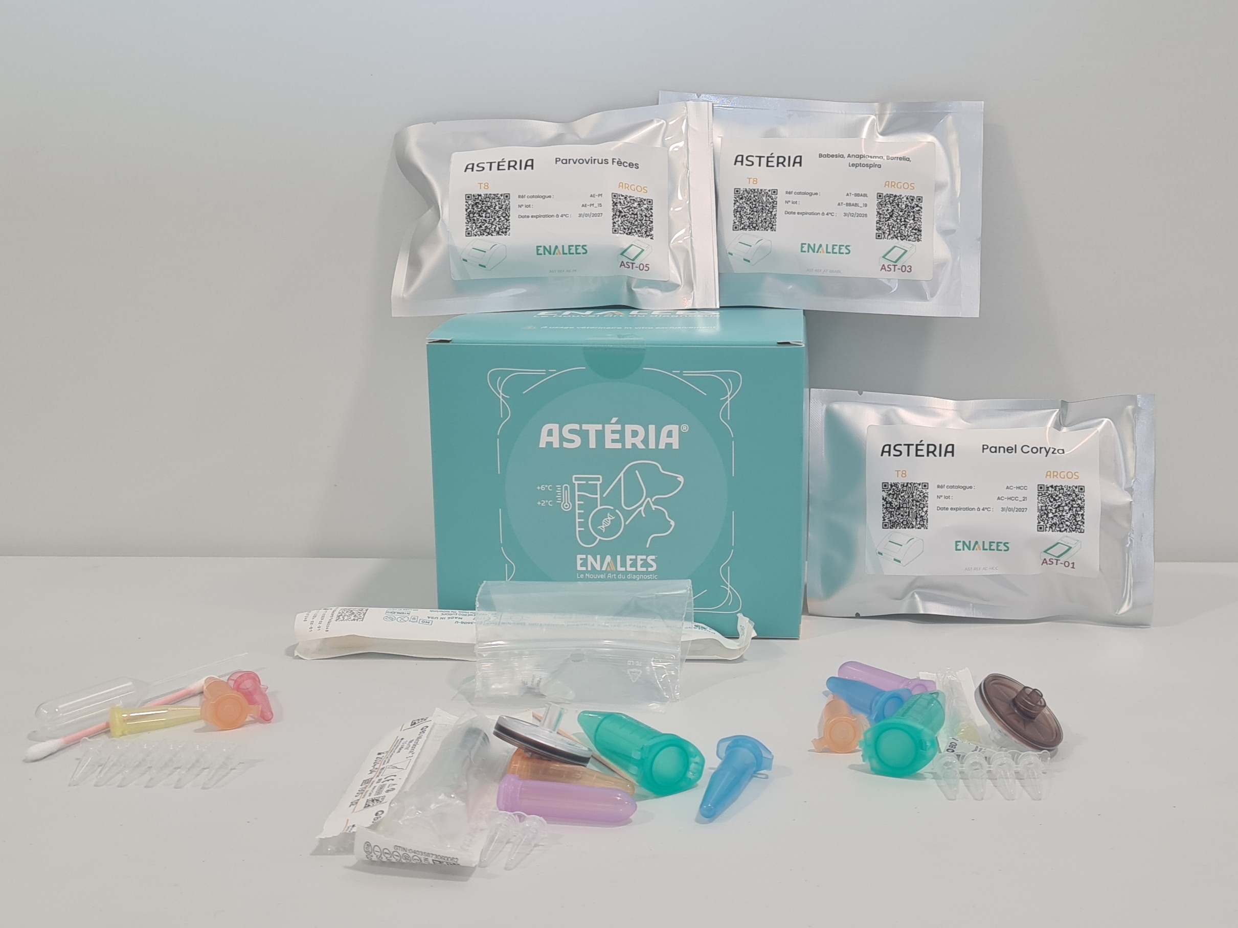 Astéria Kit Découverte 1