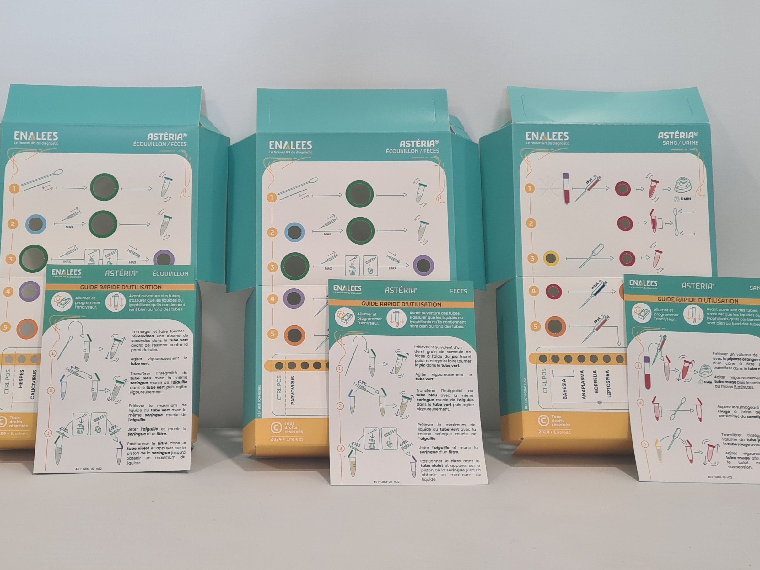 Astéria Kit Découverte 1