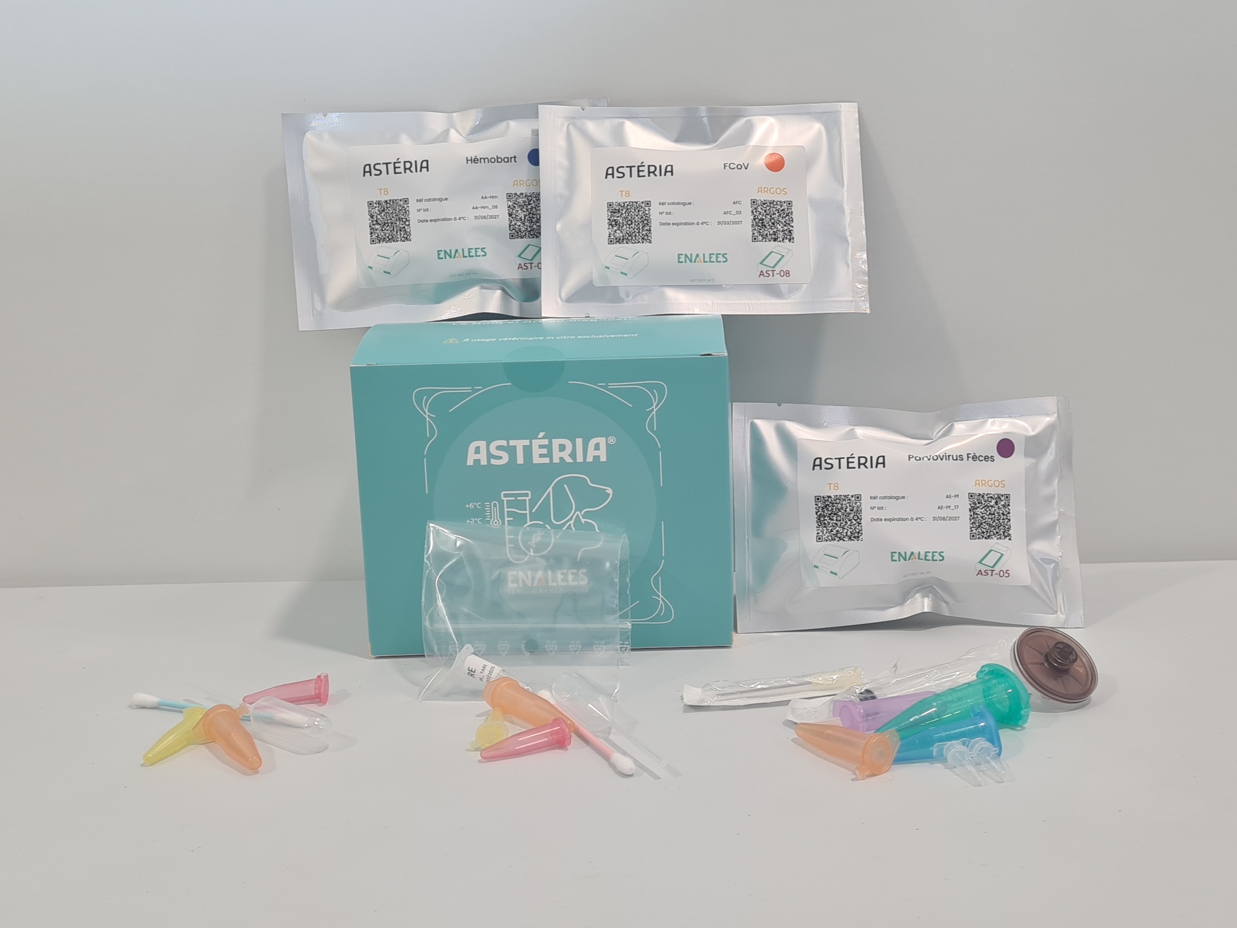Astéria Kit Découverte 2