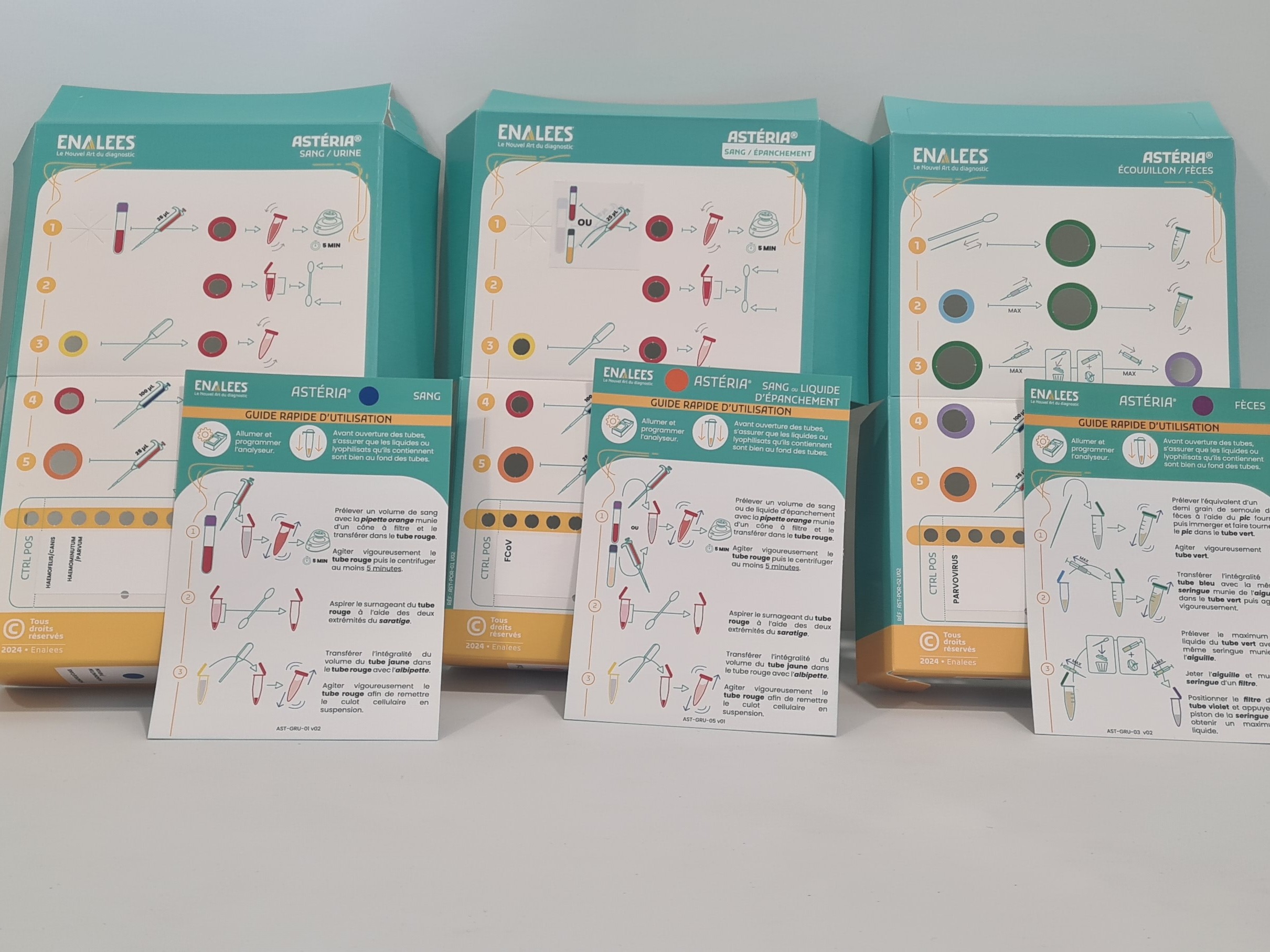 Astéria Kit Découverte 2