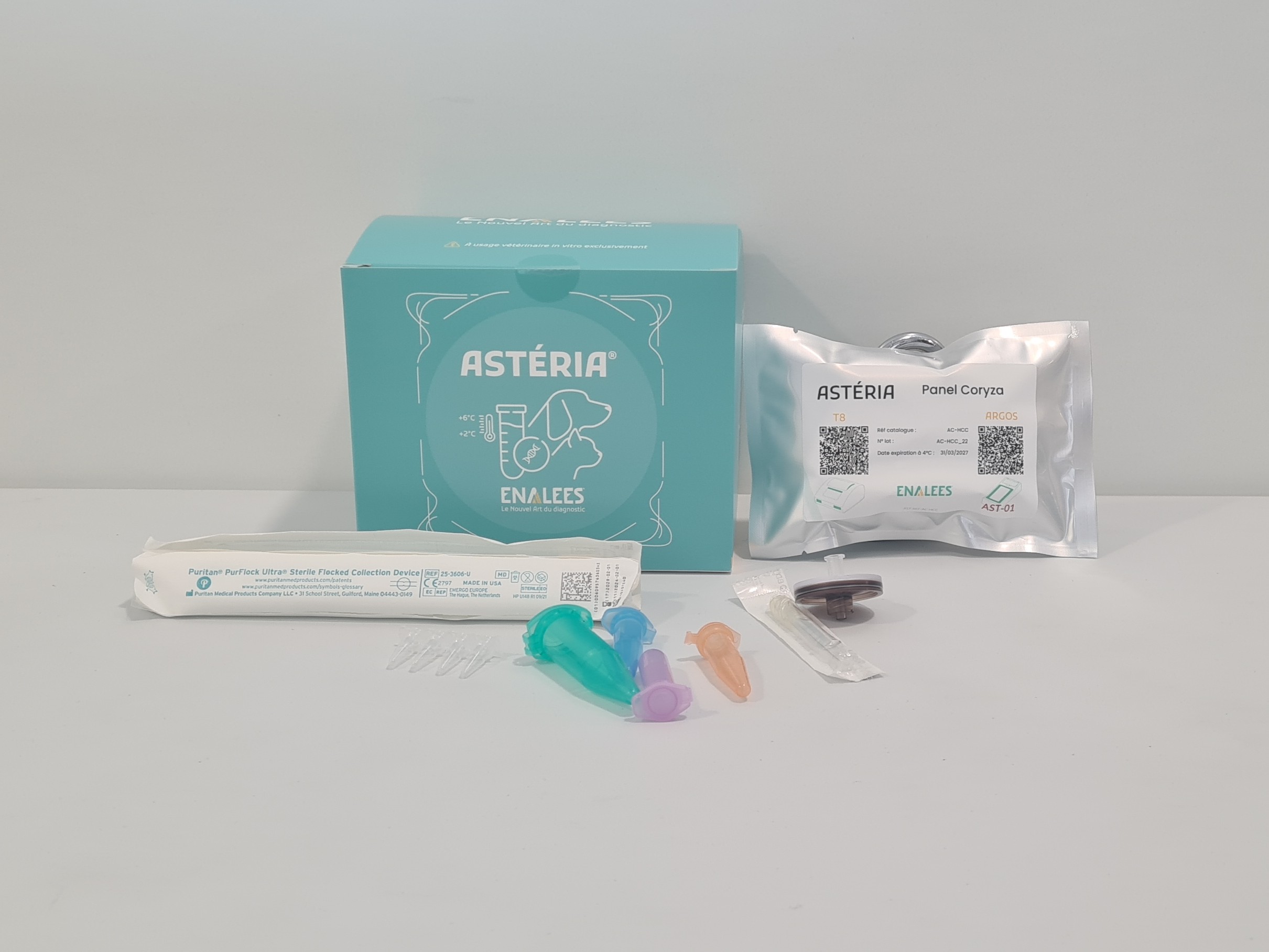 Astéria Herpes, Calicivirus, Chlamydia felis