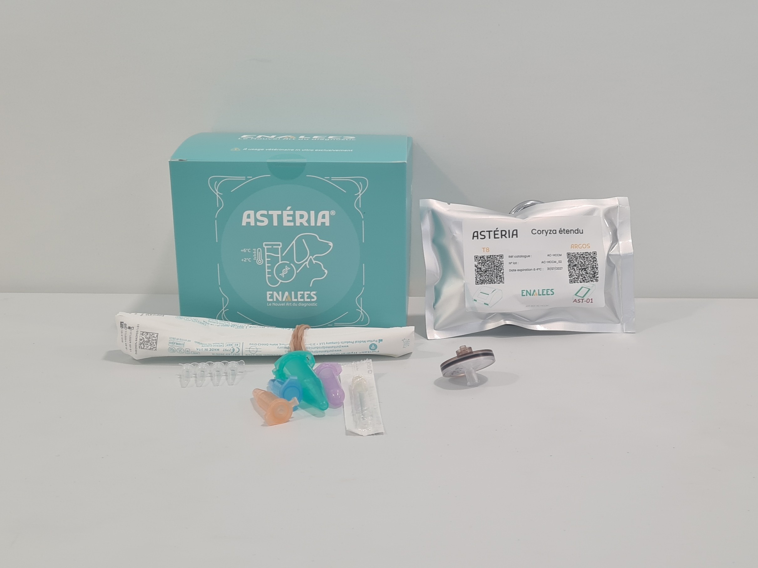 Astéria Herpes, Calicivirus, Chlamydia felis, Mycoplasma felis