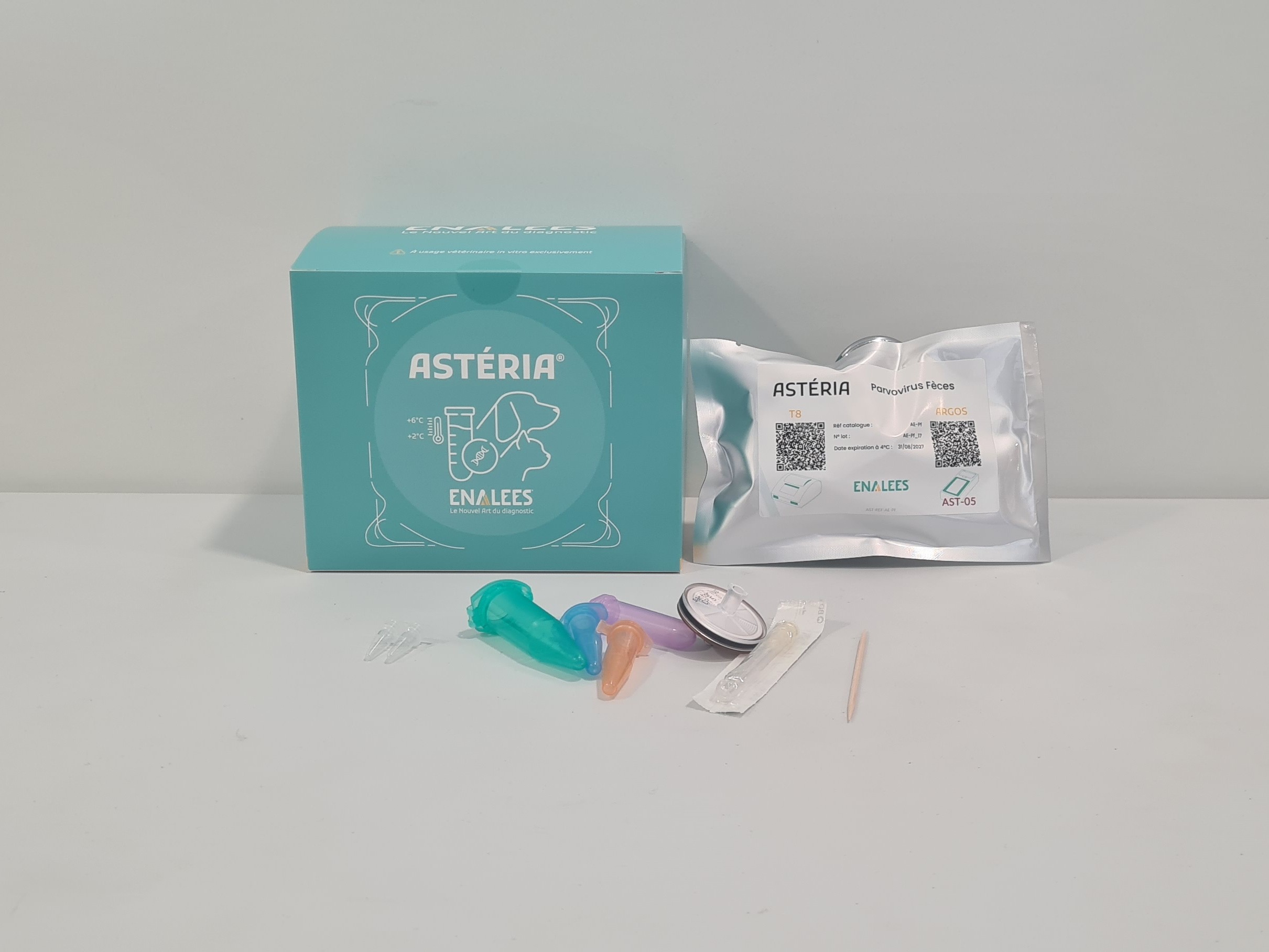 Astéria Parvovirus Feces