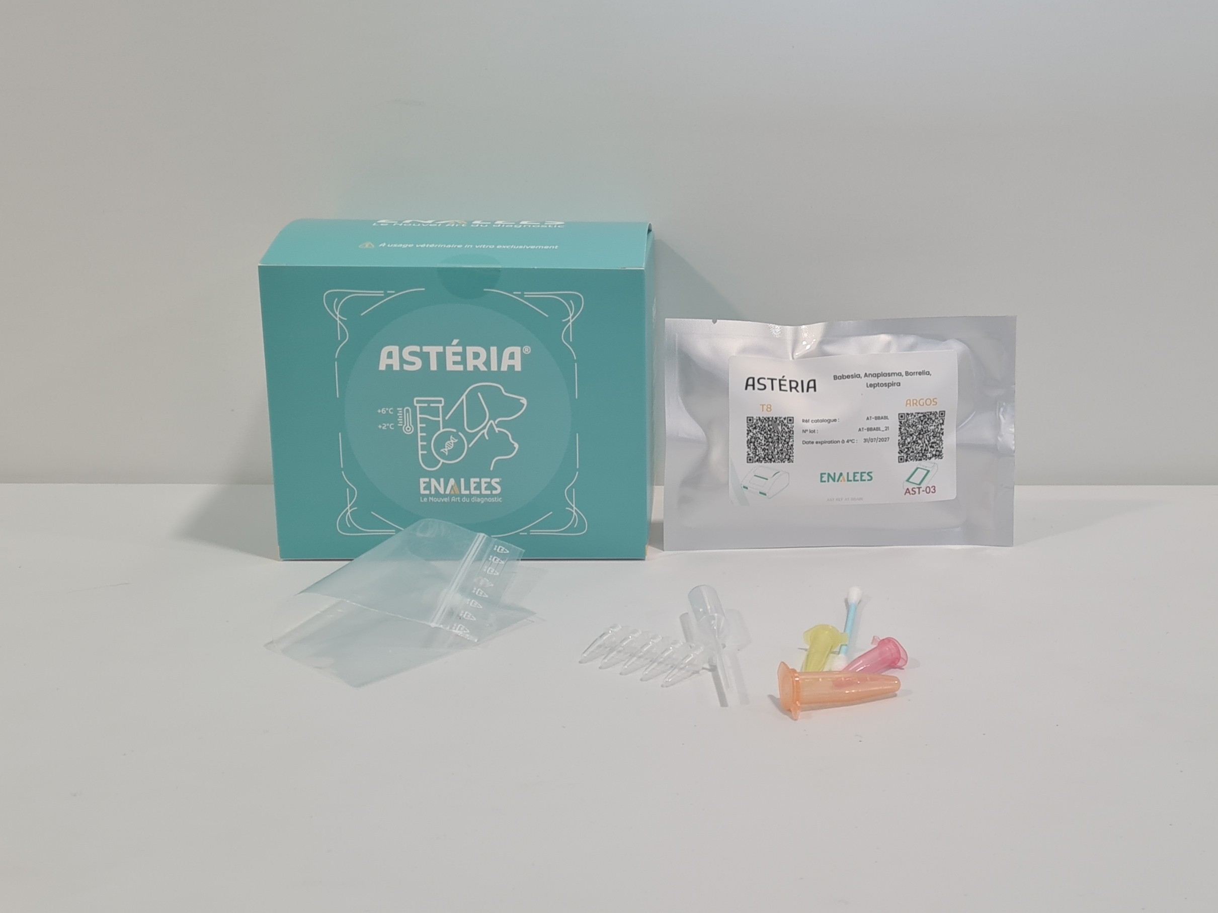 Astéria Babesia, Anaplasma, Borrelia, Leptospira