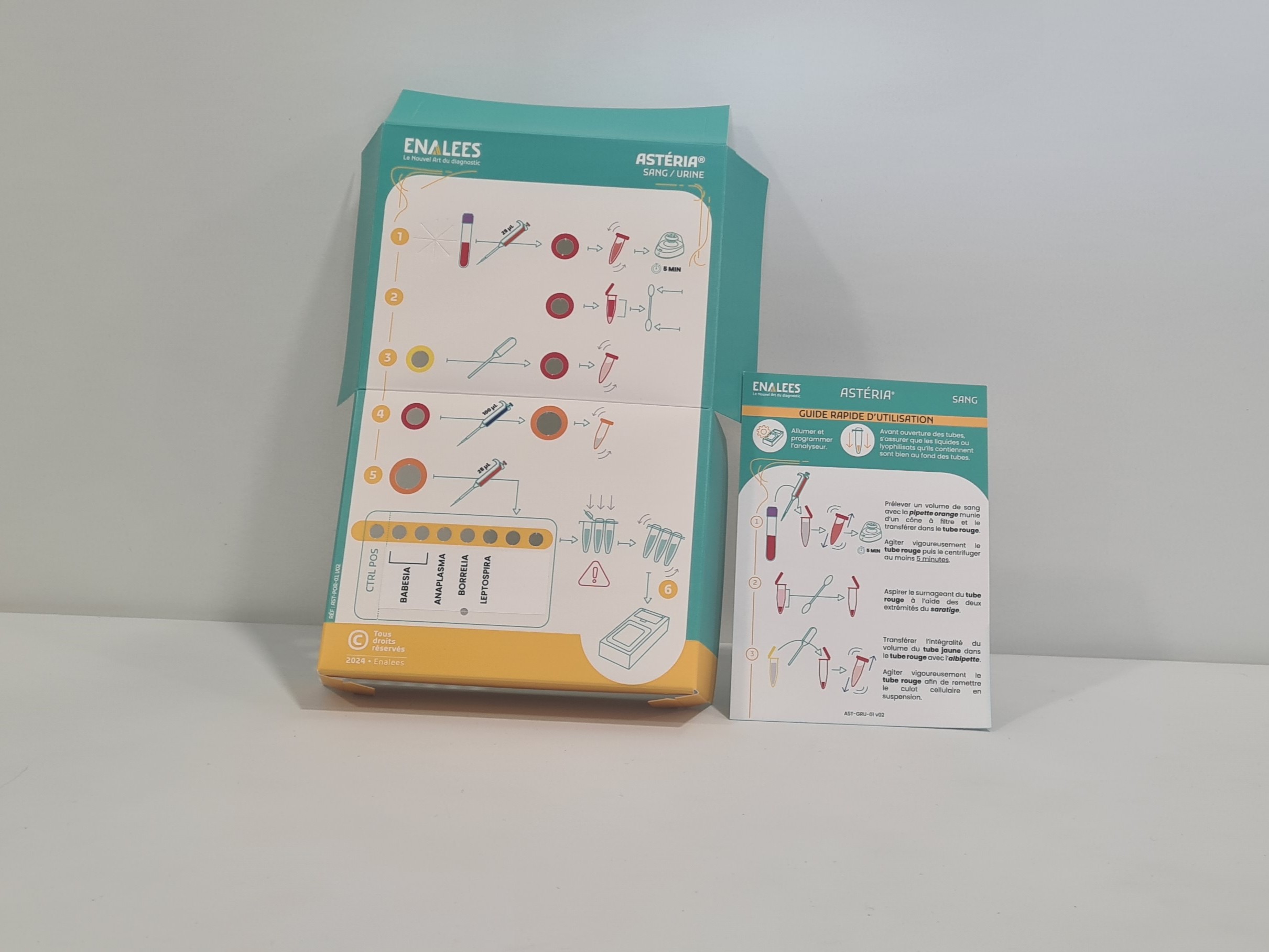 Astéria Babesia, Anaplasma, Borrelia, Leptospira