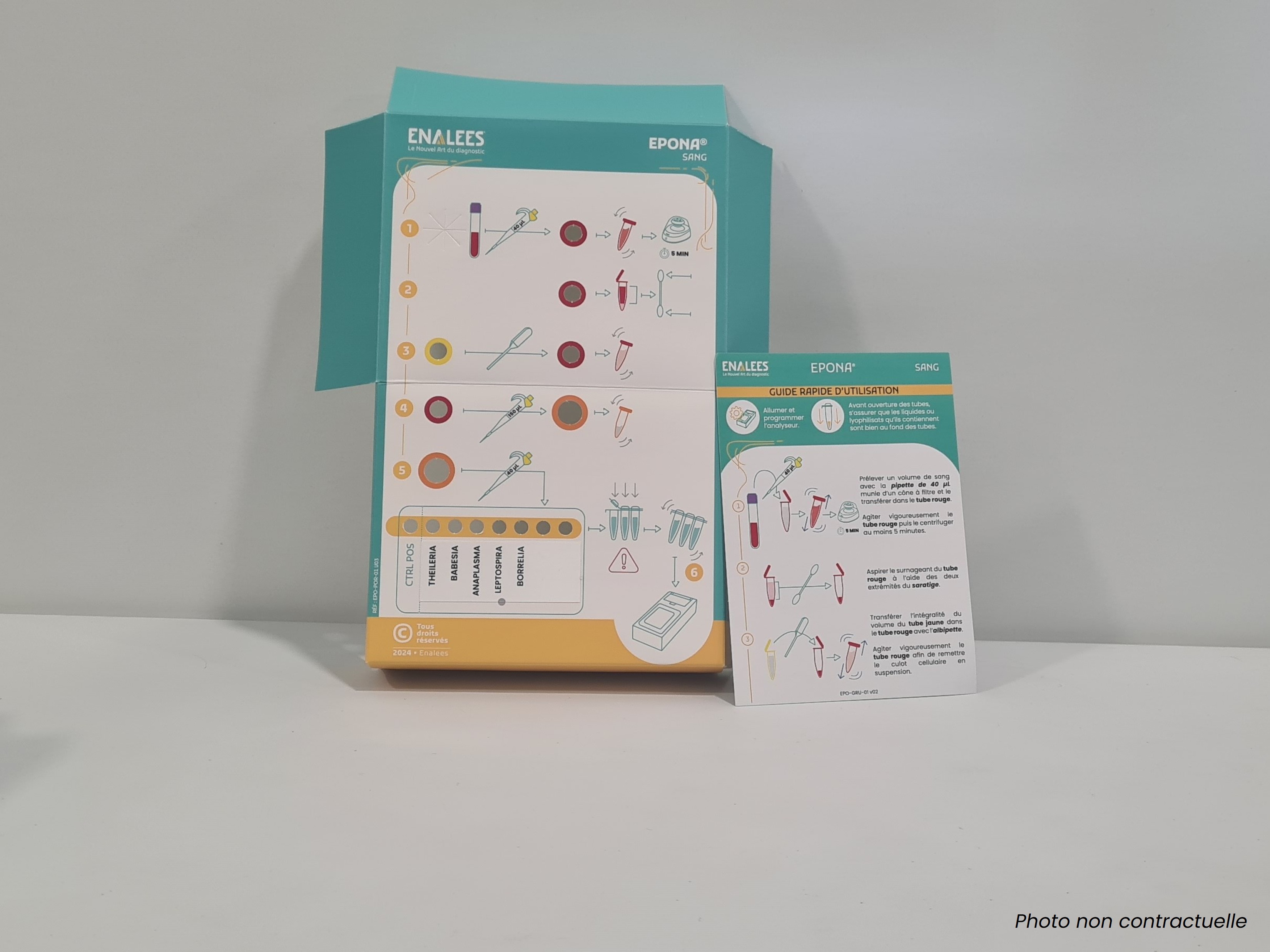 Epona Theileria, Babesia, Anaplasma