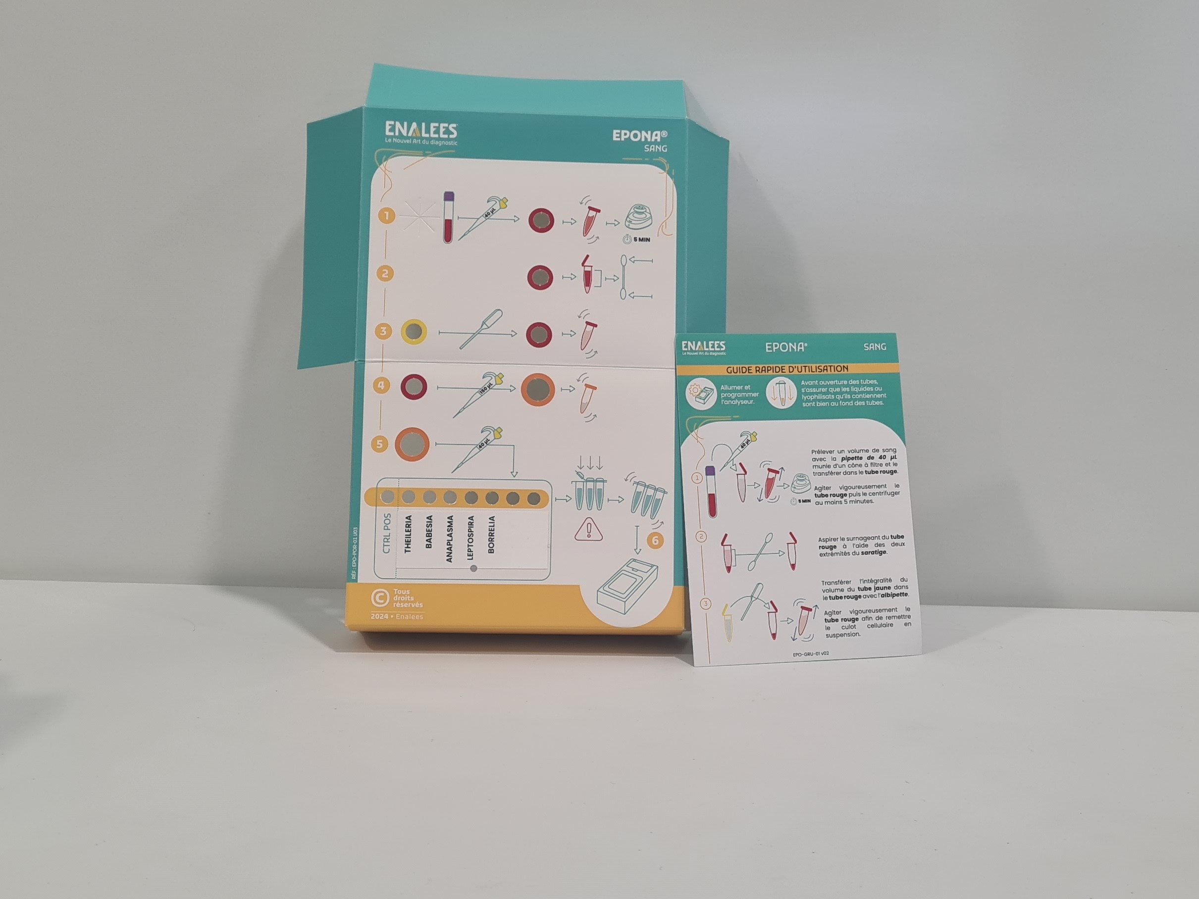 Epona Theileria, Babesia, Anaplasma, Leptospira, Borrelia