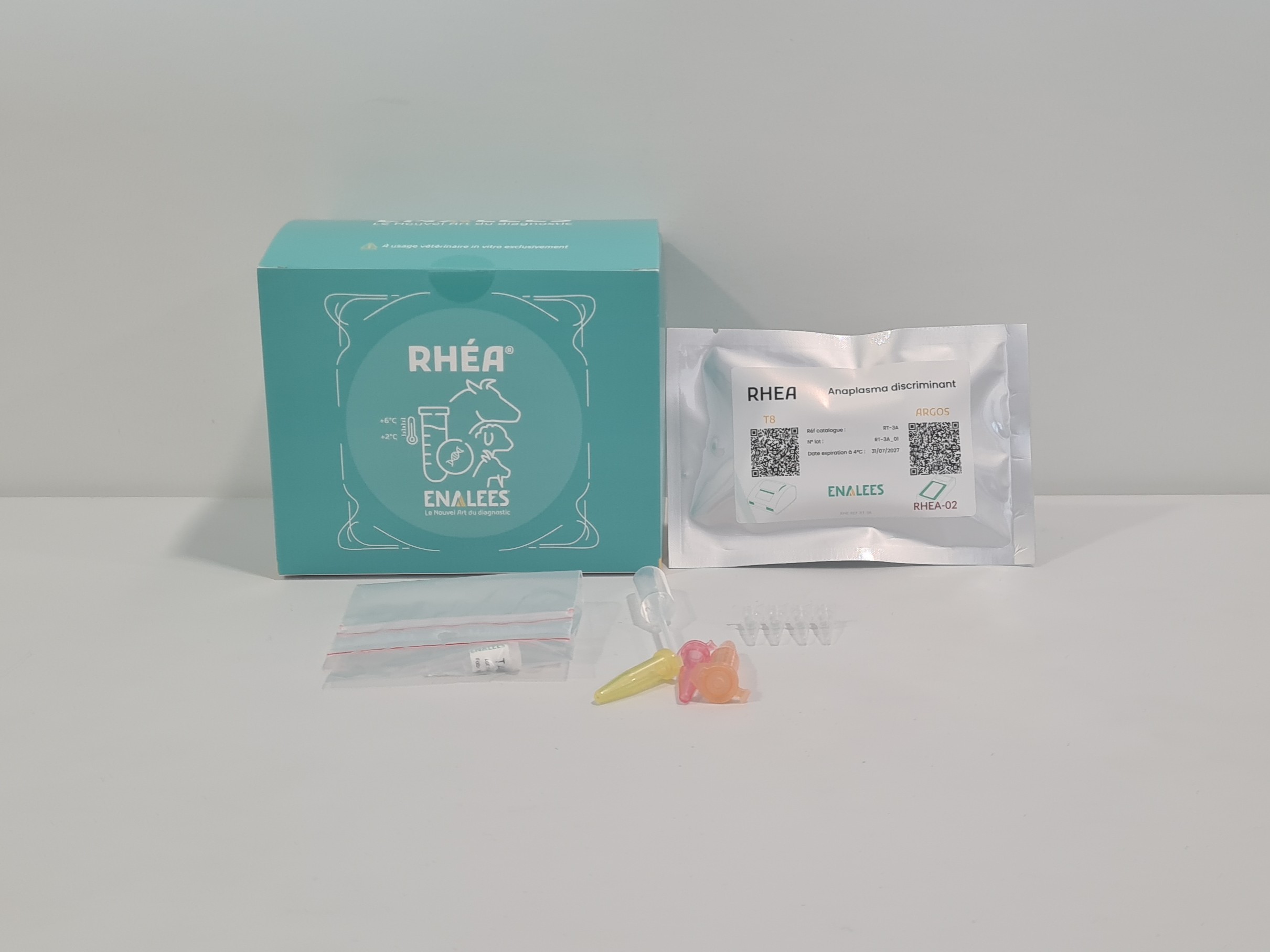 Rhéa Anaplasma spp, Anaplasma phagocytophilum, Anaplasma marginale