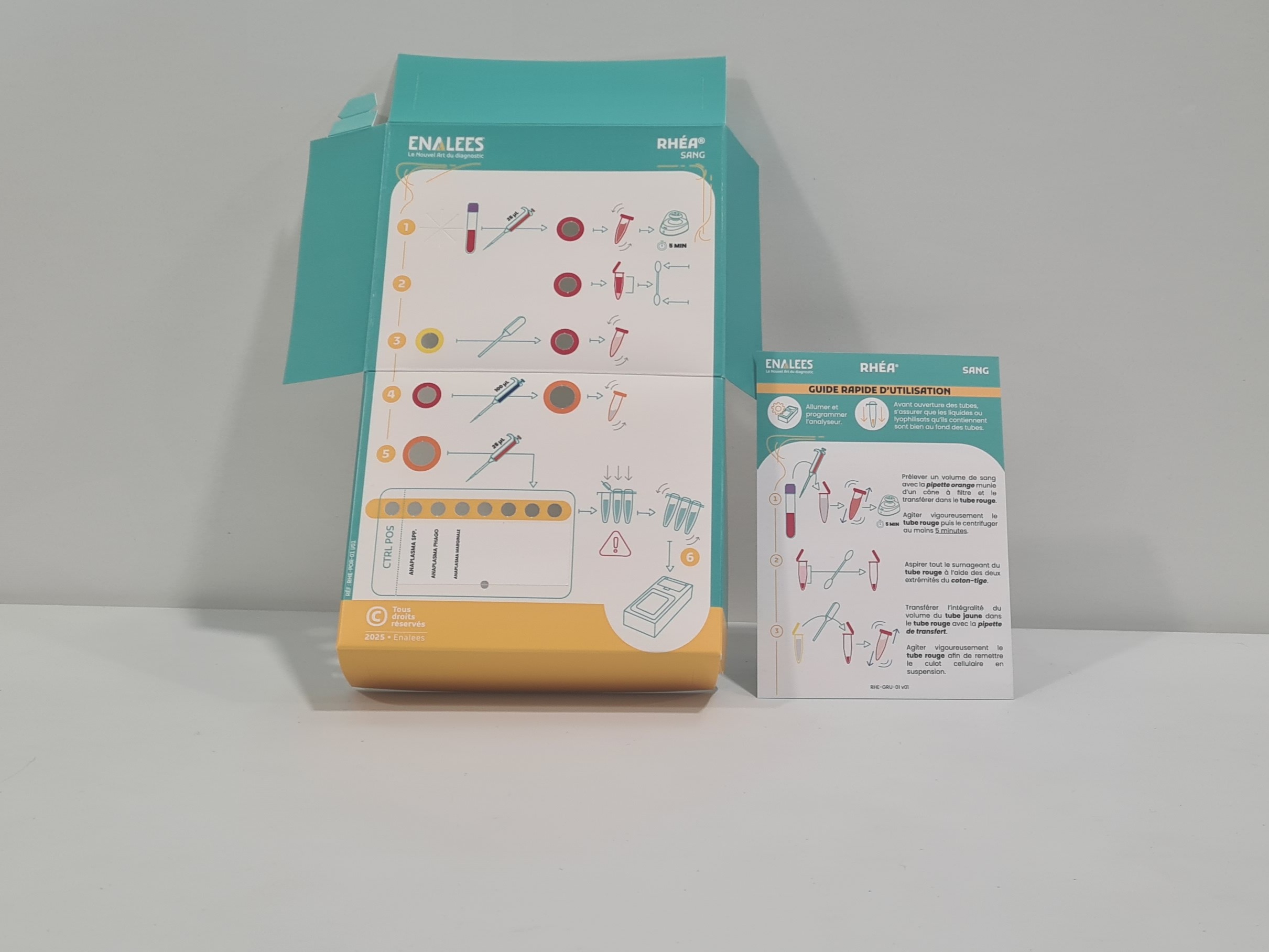 Rhéa Anaplasma spp, Anaplasma phagocytophilum, Anaplasma marginale