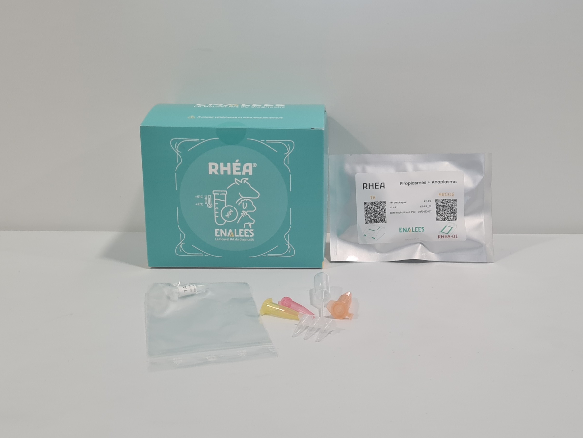 Rhéa Theileria/Babesia, Anaplasma