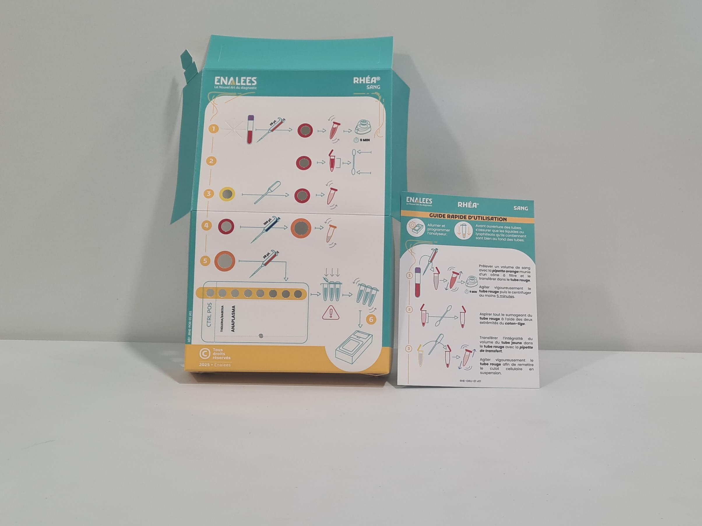 Rhéa Theileria/Babesia, Anaplasma