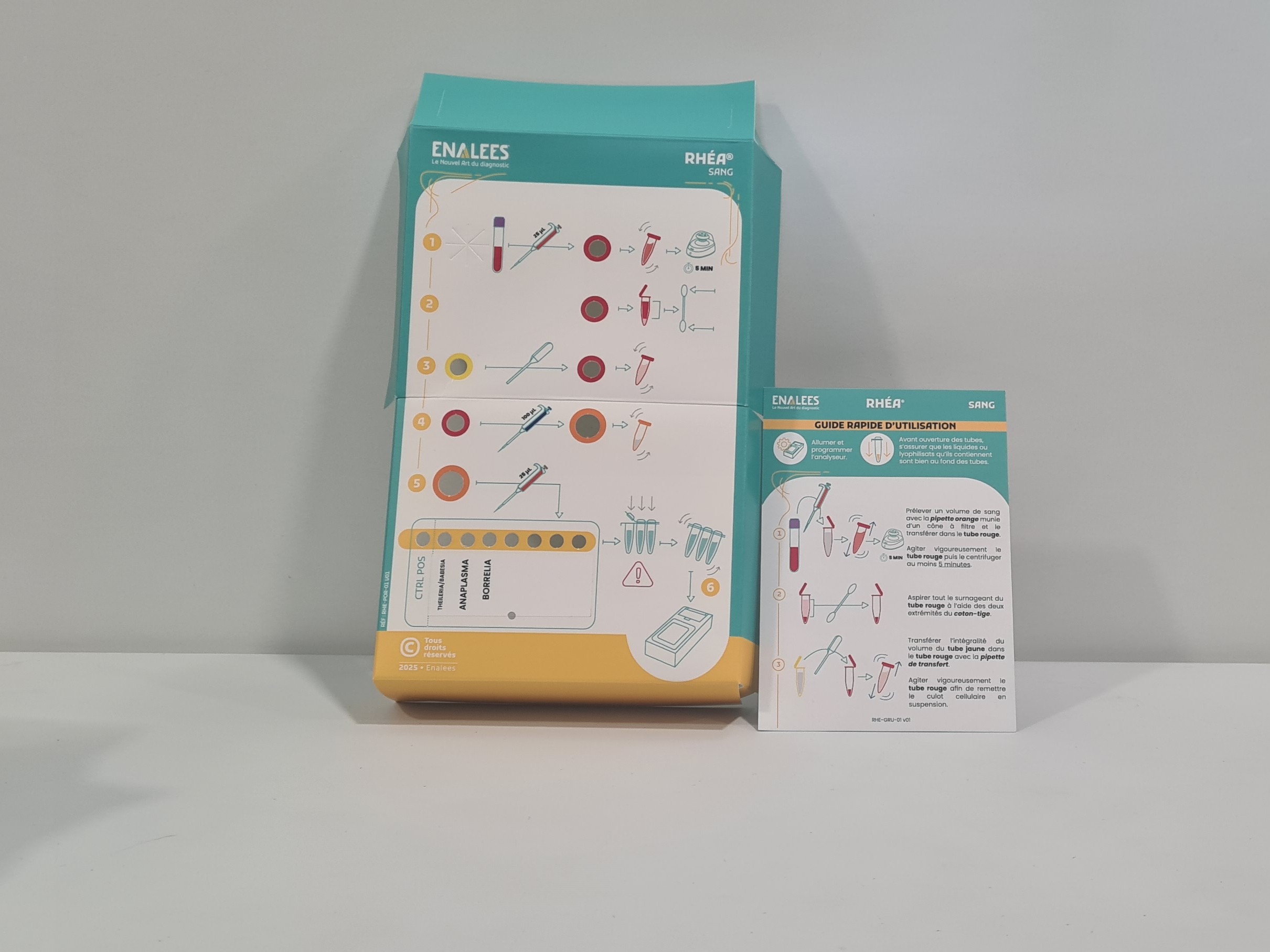 Rhéa Vectorielles Diseases